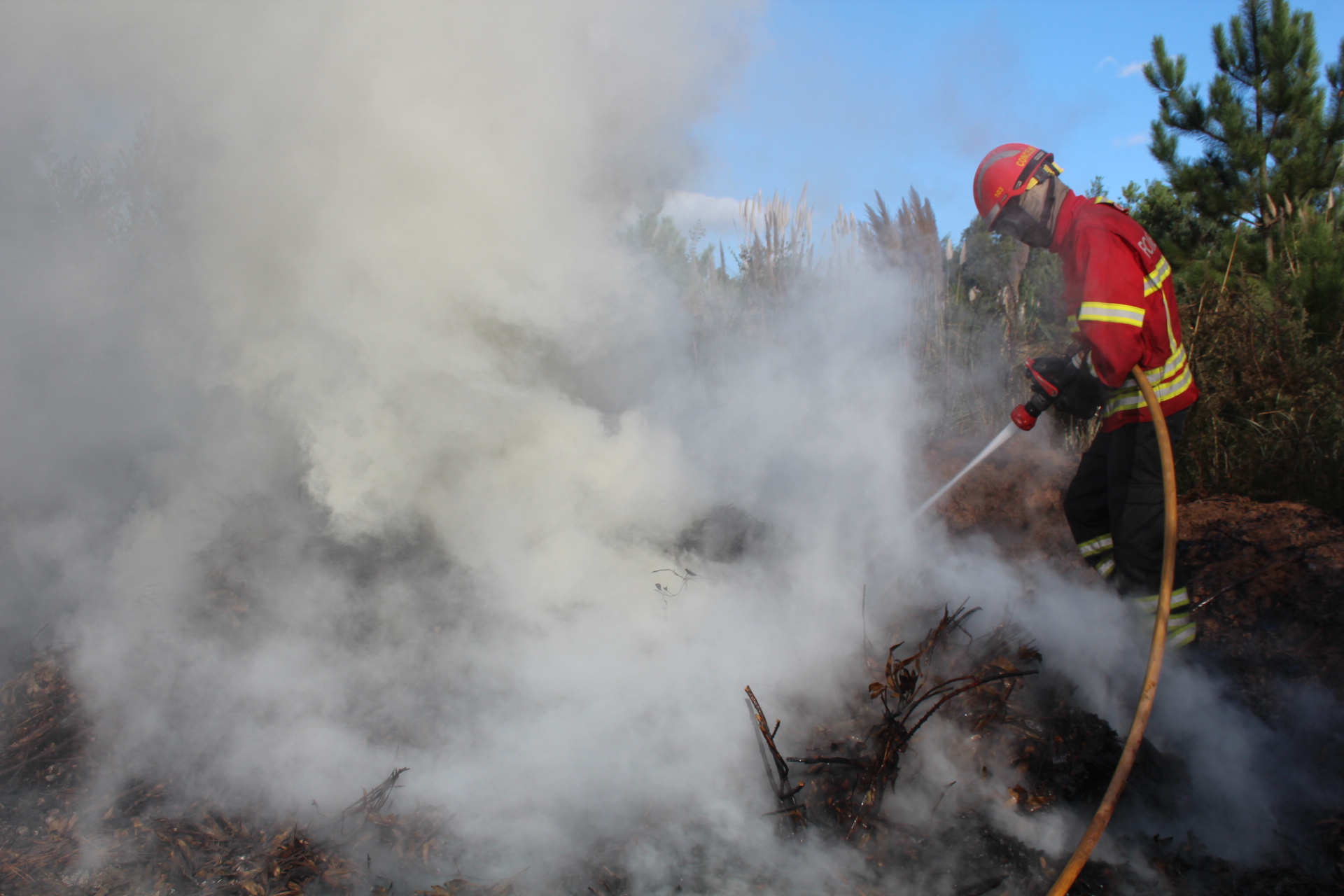 Resultado de imagem para incendio em espinho