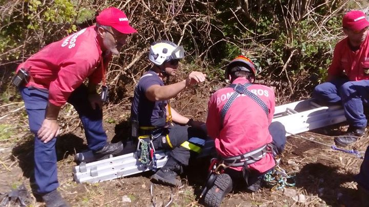 Bombeiros do concelho efectuam salvamento de um cão caído num poço