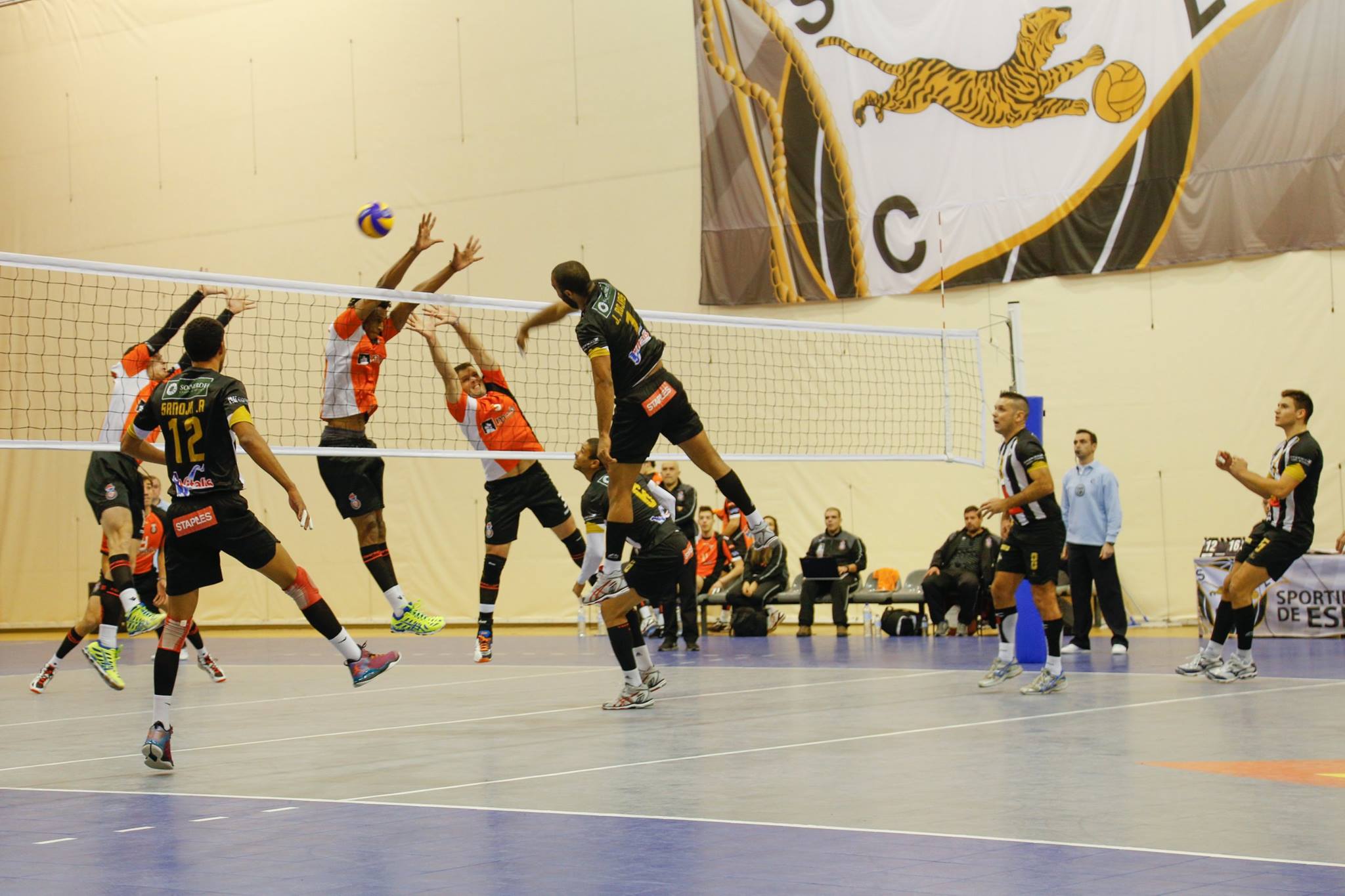 Voleibol: SC Espinho perde na negra frente ao Castêlo da Maia