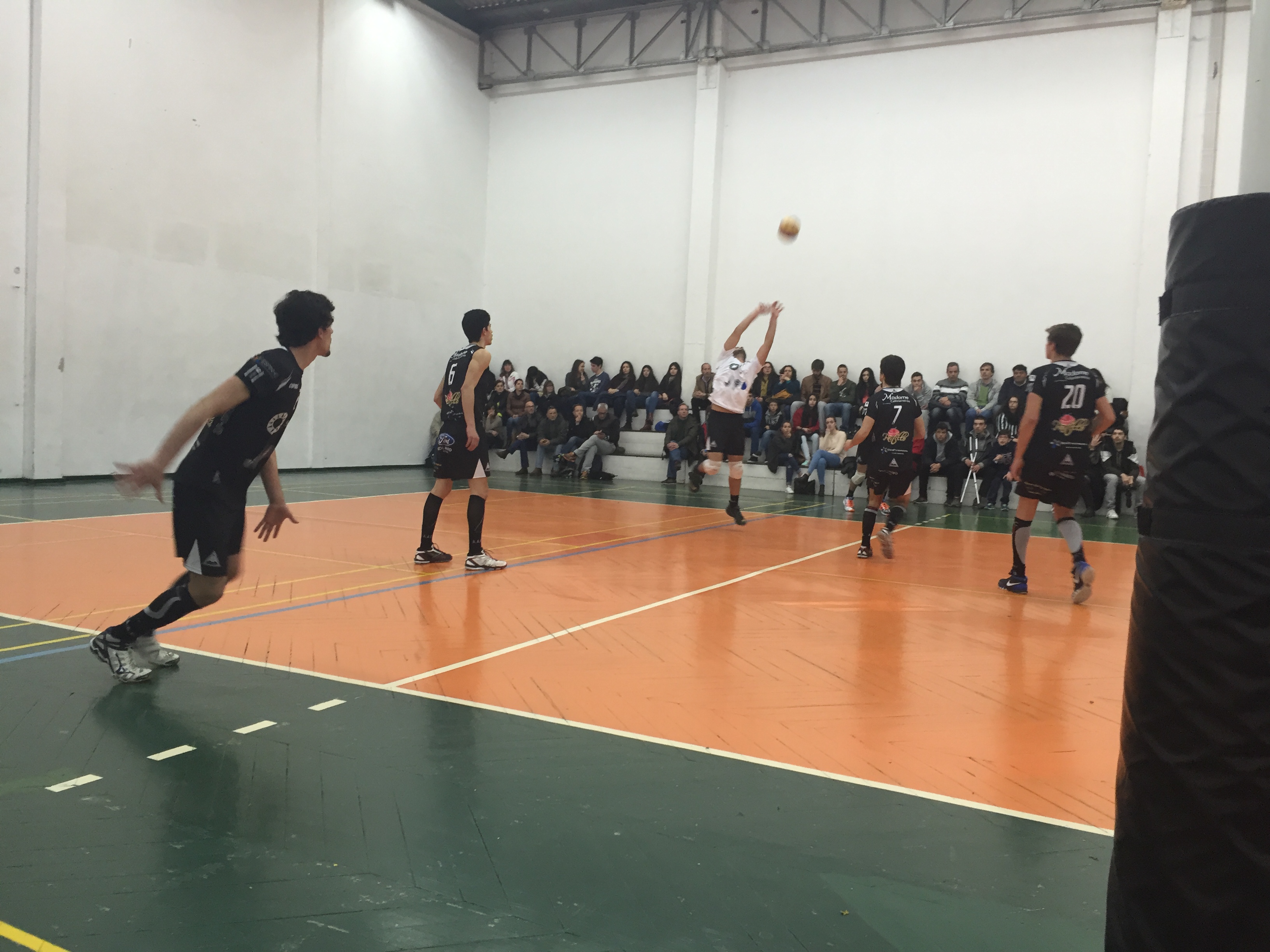 juniores_aae