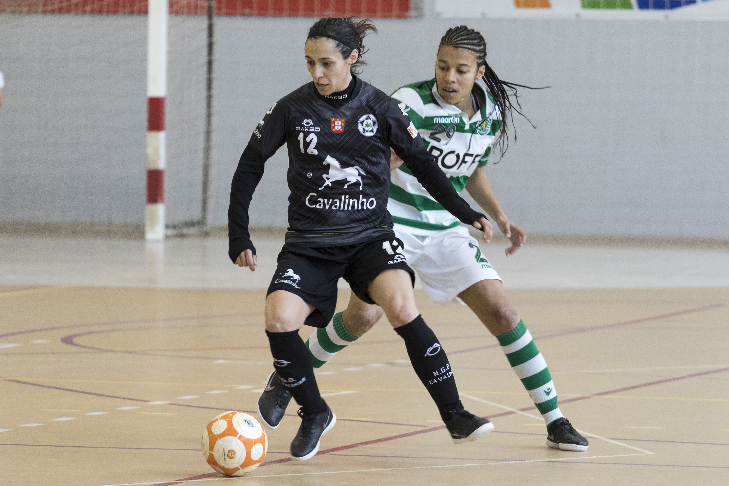 Novasemente/Cavalinho perde com Sporting
