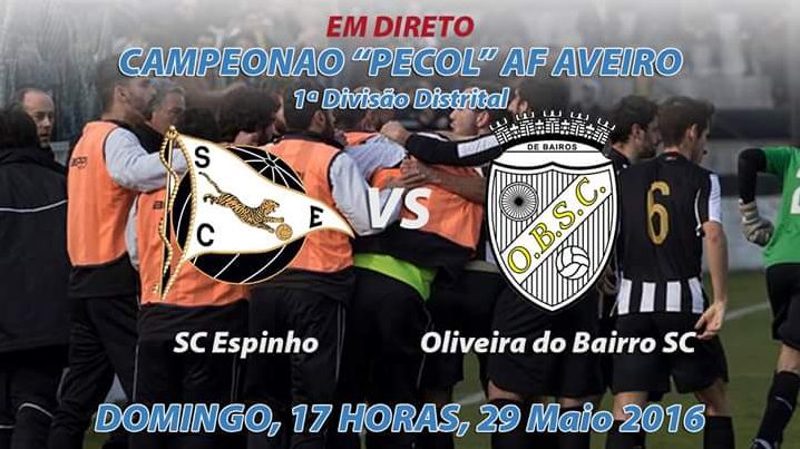 Sp. Espinho vs Oliveira Bairro, Concurso Maior Bandeira e entrega Taça aos Iniciados