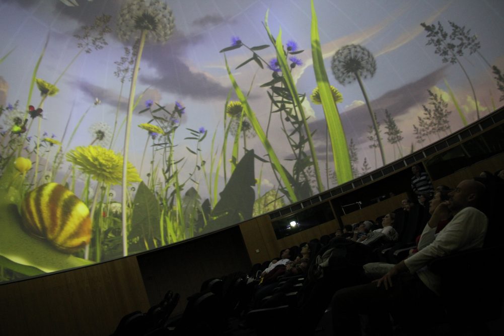 Inaugurada sessão de Planetário “A Vida das Árvores”
