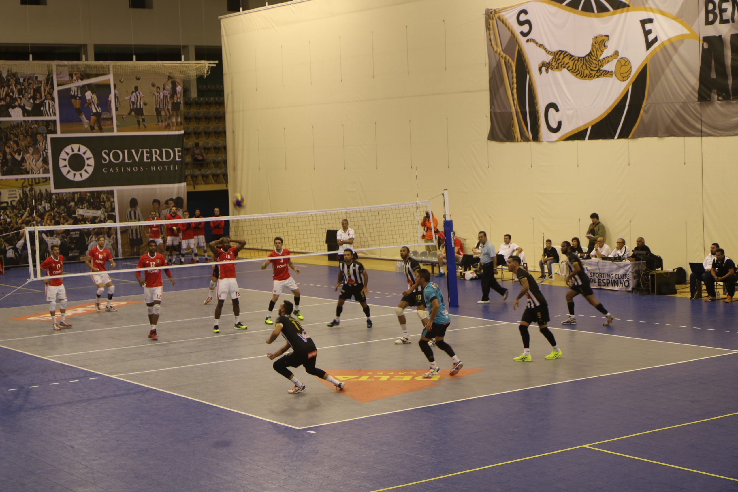 Voleibol: Tigres não conseguiram travar as Águias