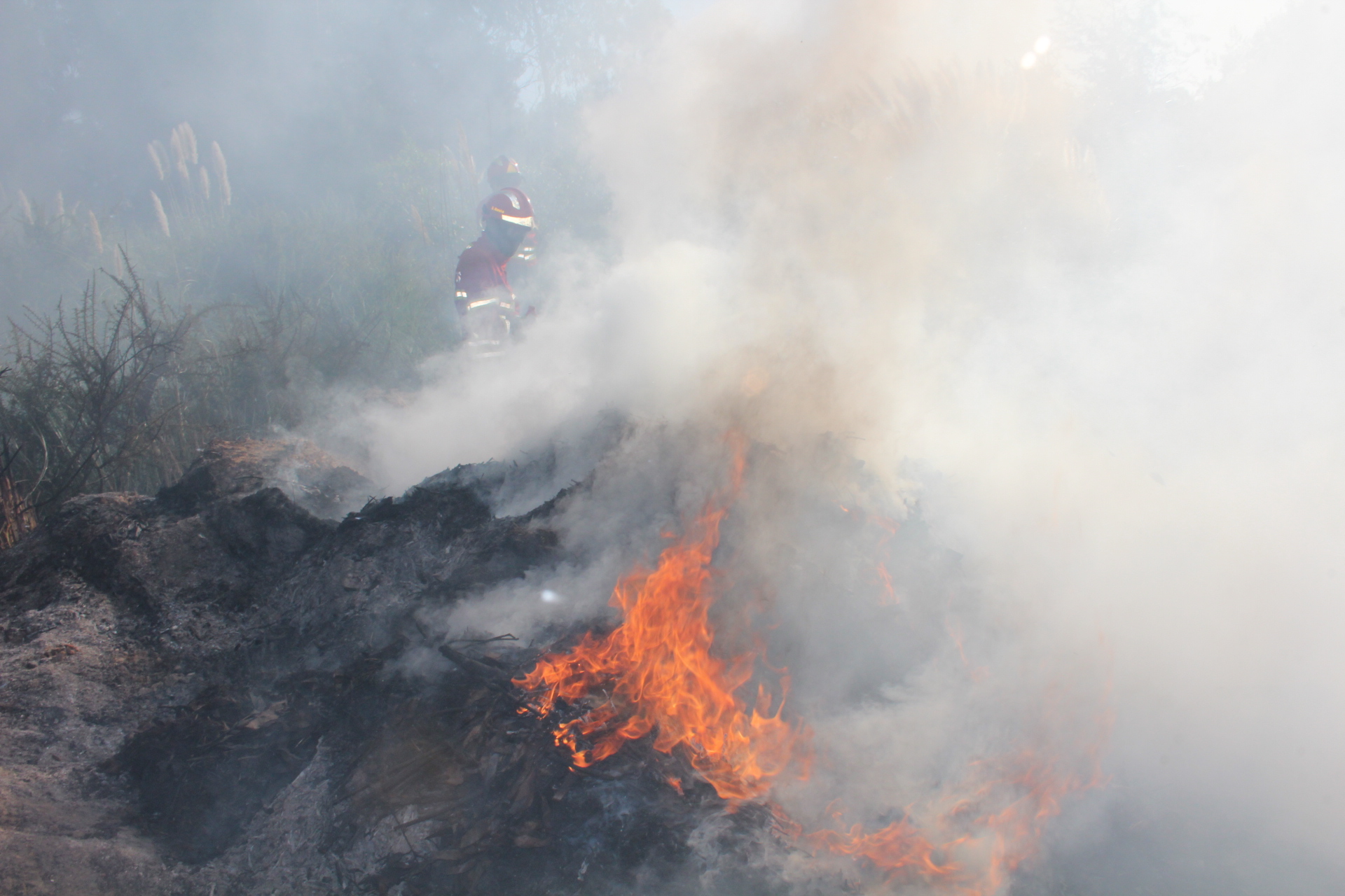 Incêndio junto ao Complexo Ténis Espinho