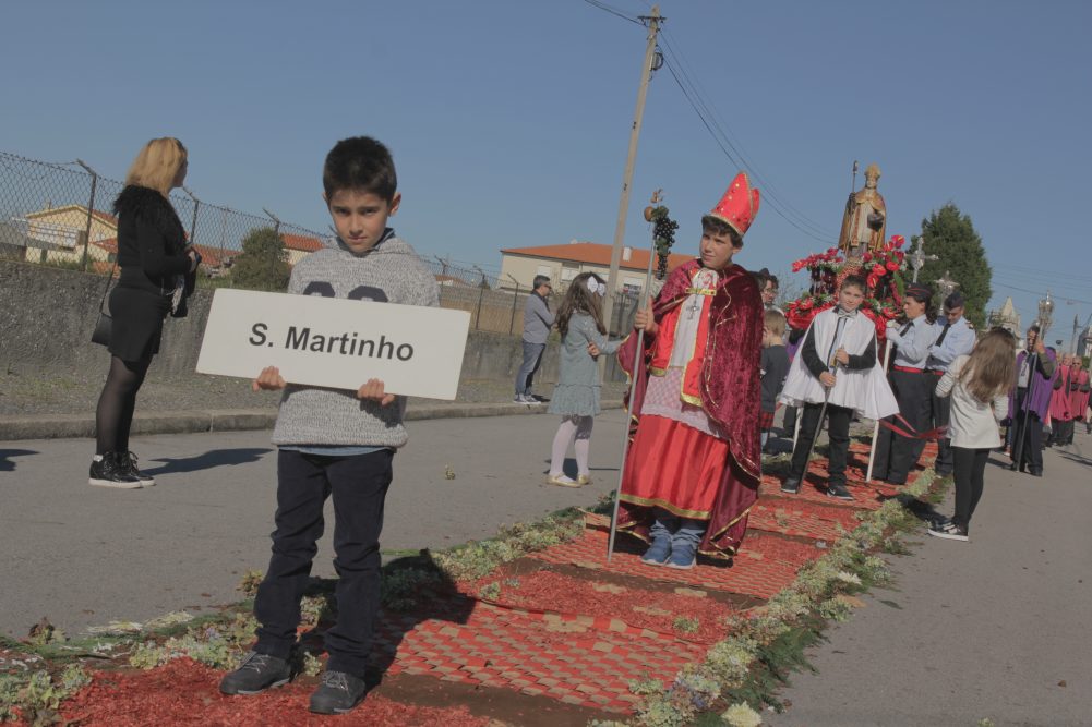 Vila de Anta celebrou o S. Martinho