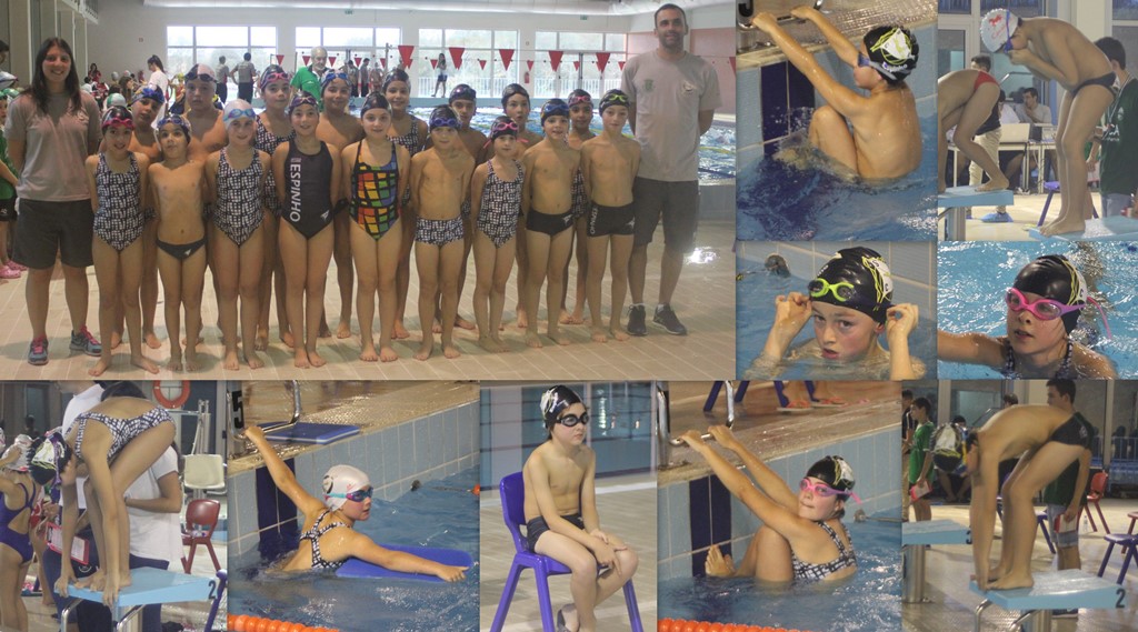 Natação tigre no I Torneio 1ª Braçada em Murtosa