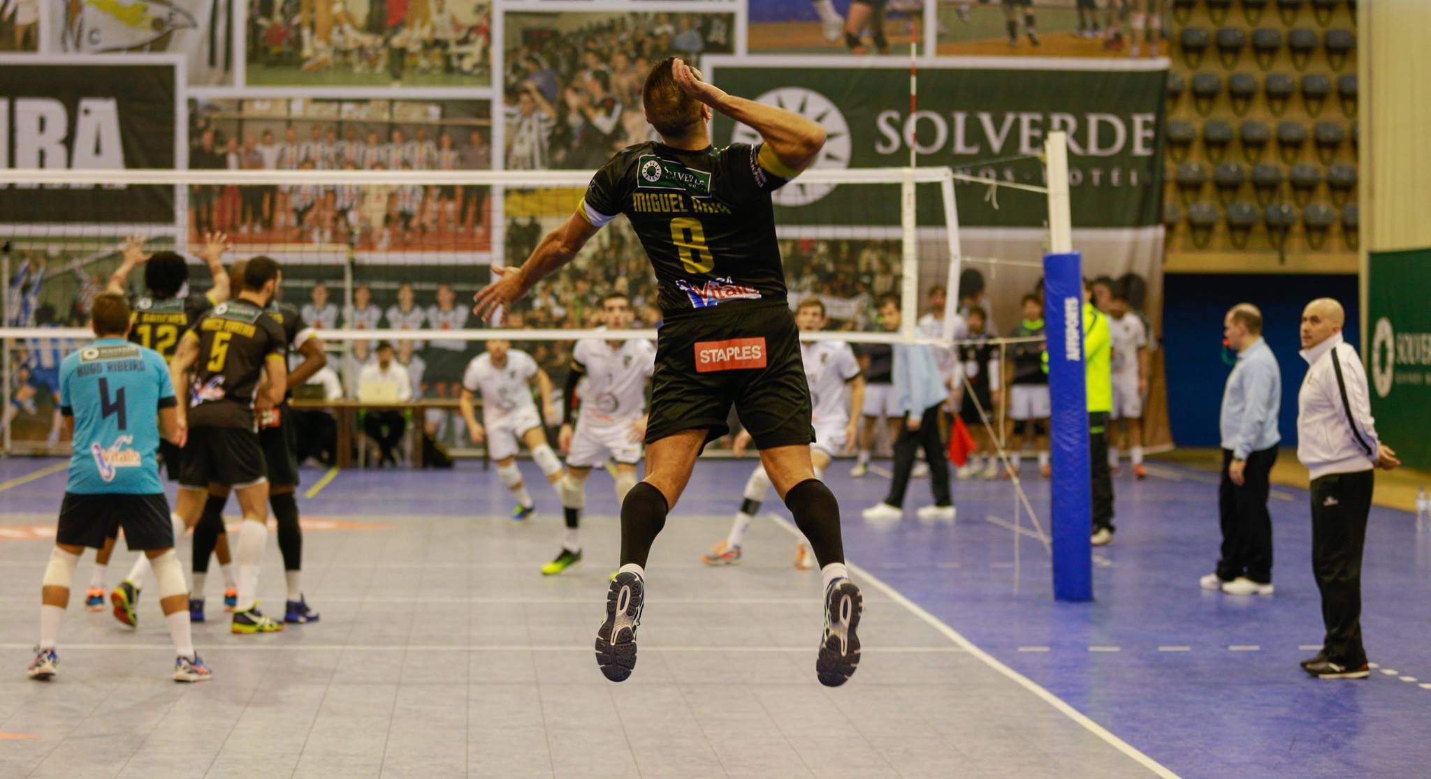 Voleibol: Tigres novamente no caminho certo