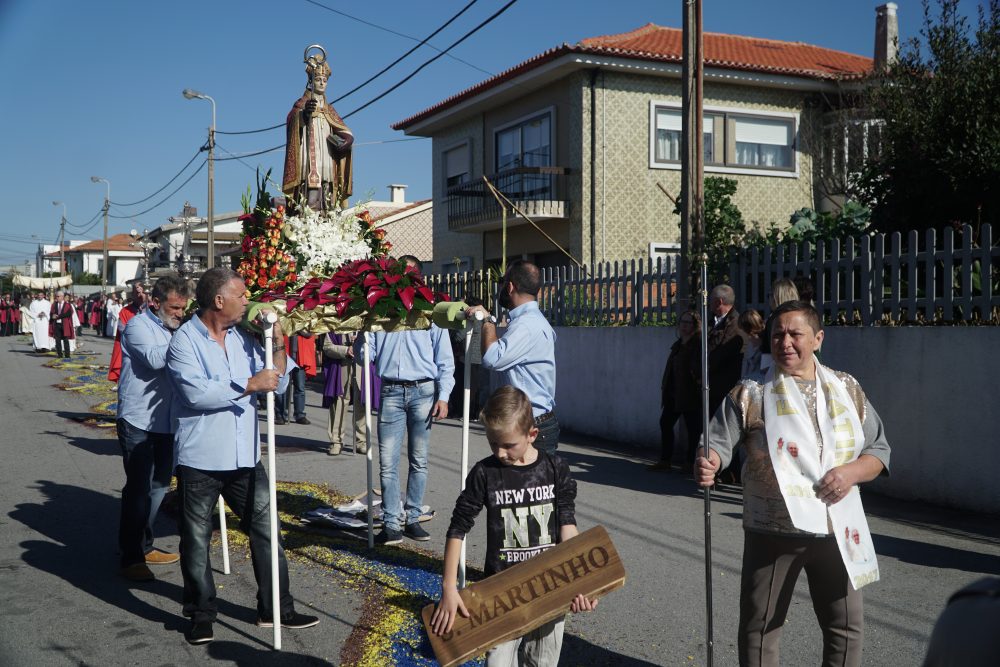 Tapetes de Flores e Procissão foram o ponto alto das Festa de S. Martinho em Anta