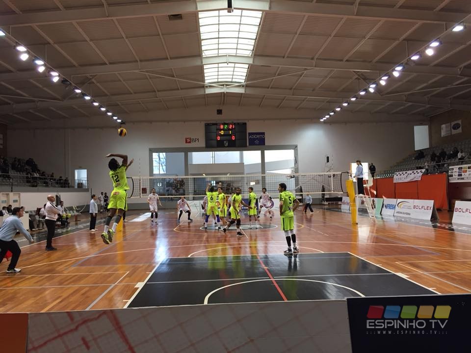 Voleibol: Tigres fecham a vencer frente ao Vitória SC