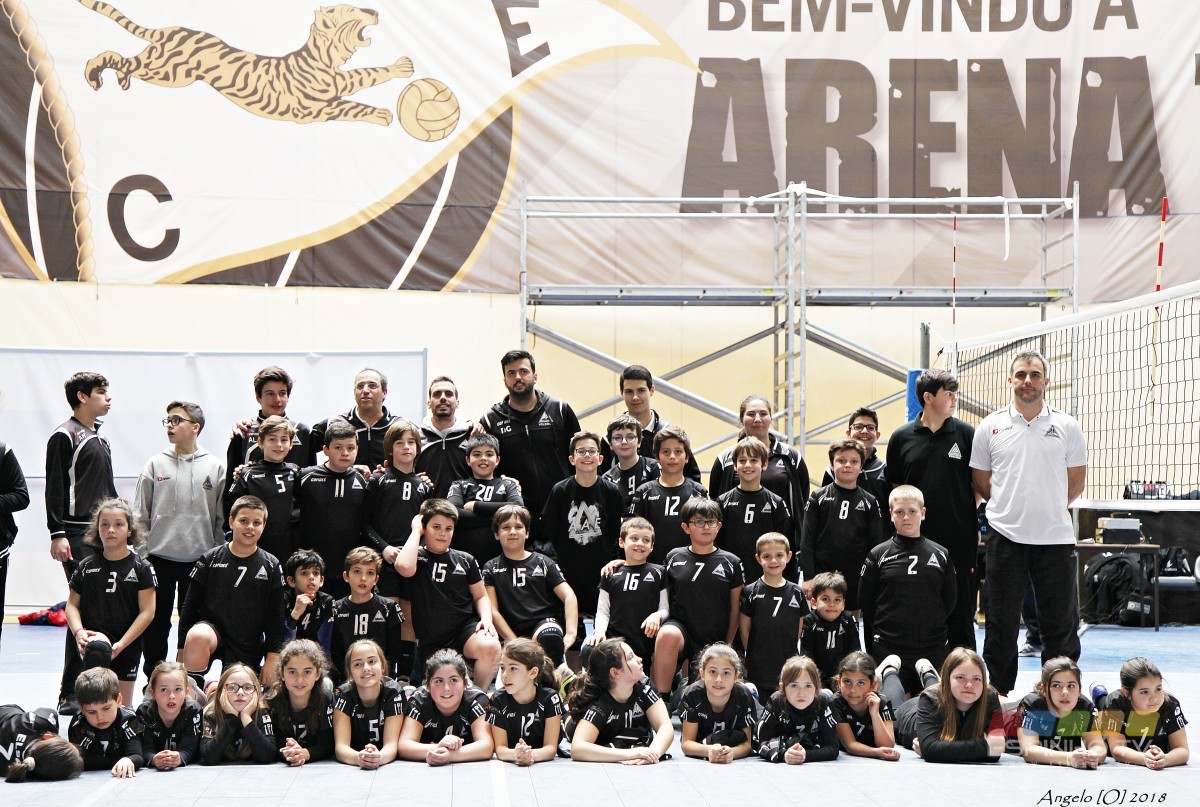 Voleibol: Resultados da formação da Associação Académica de Espinho