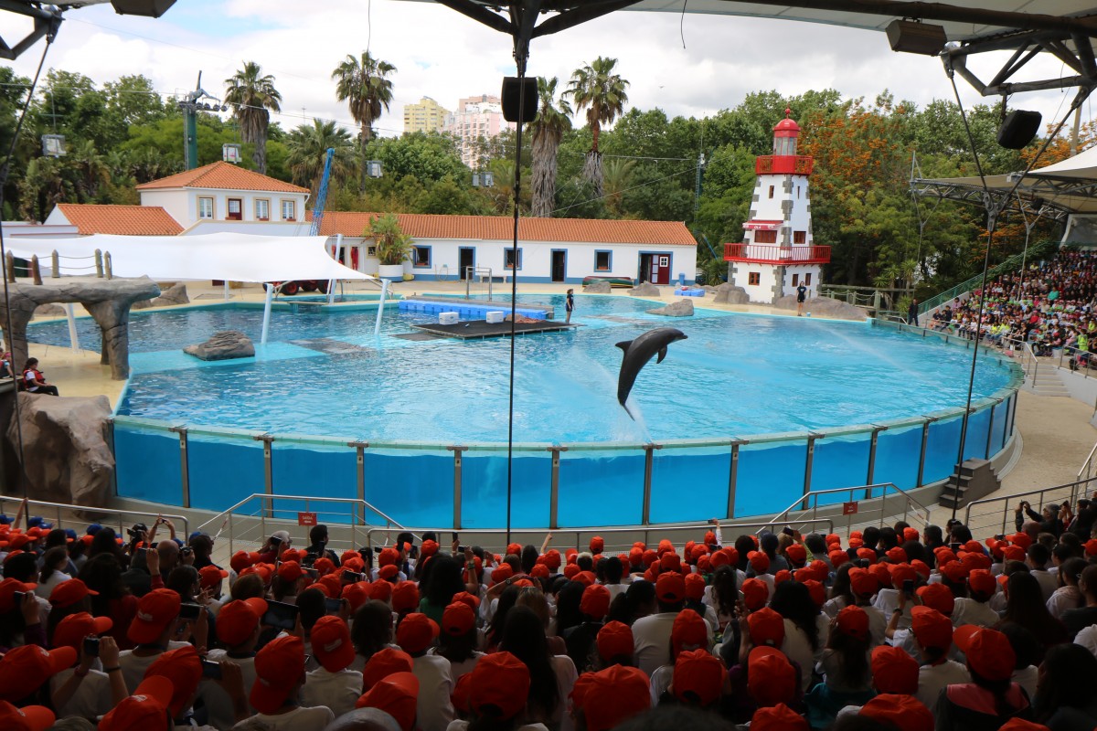 Finalistas do 4º ano visitaram Zoo de Lisboa