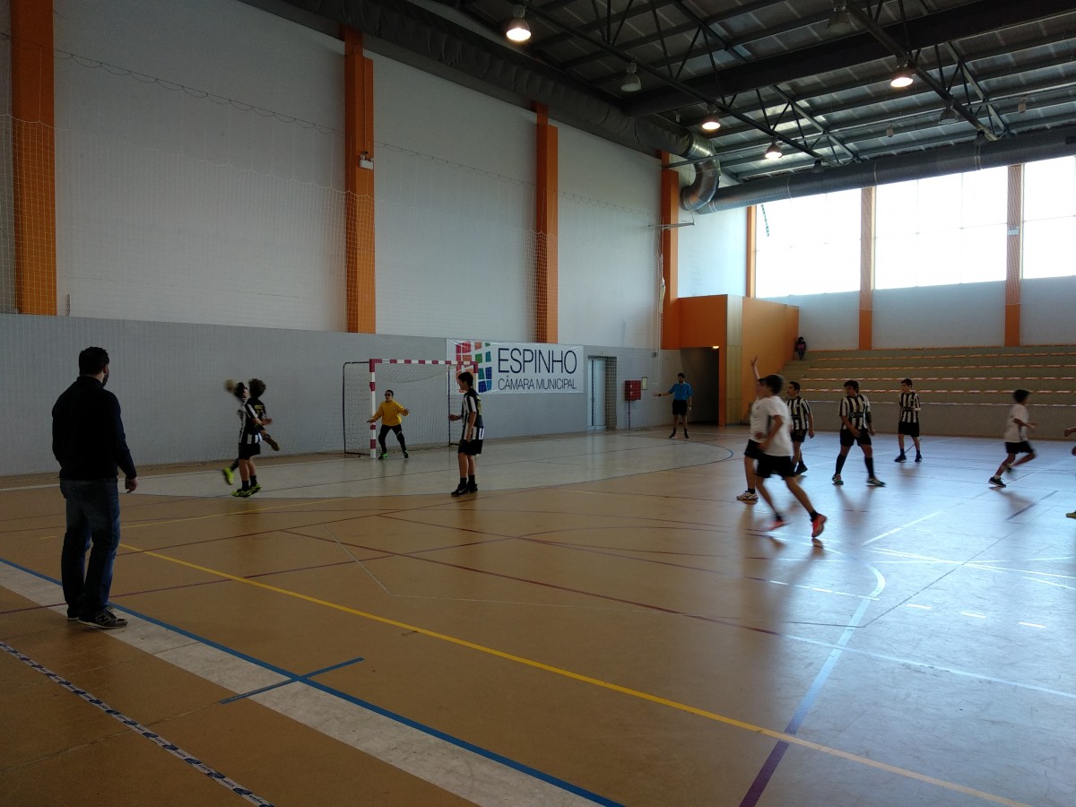 Andebol: Tigres venceram todos os jogos desta jornada