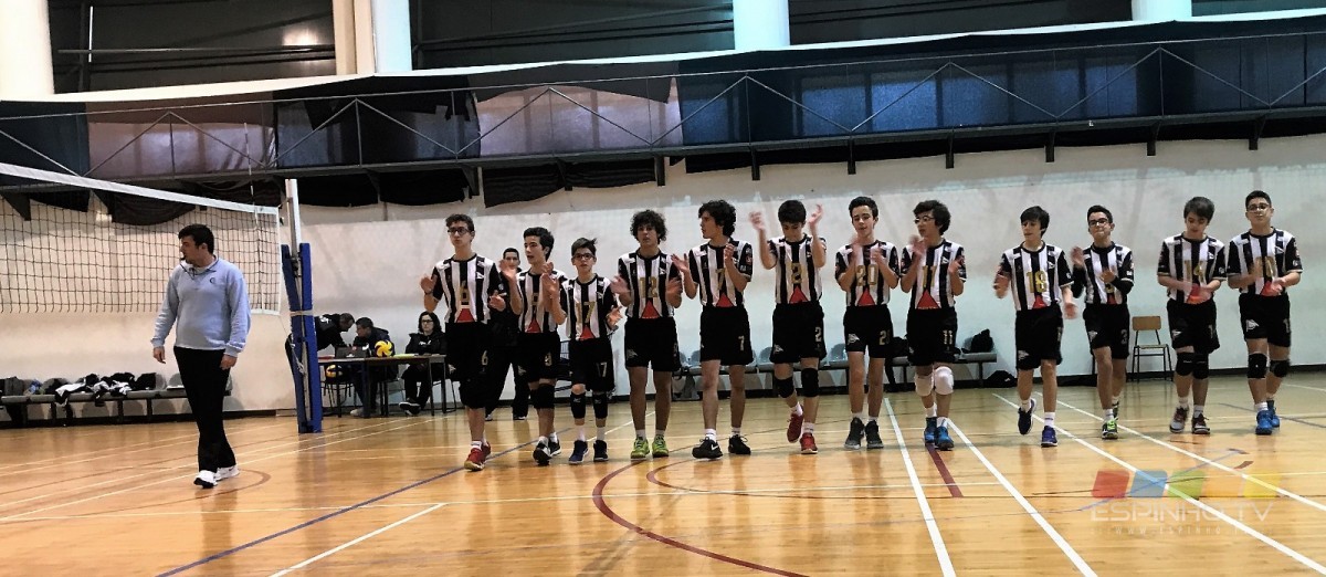 Voleibol: Formação tigre promete!
