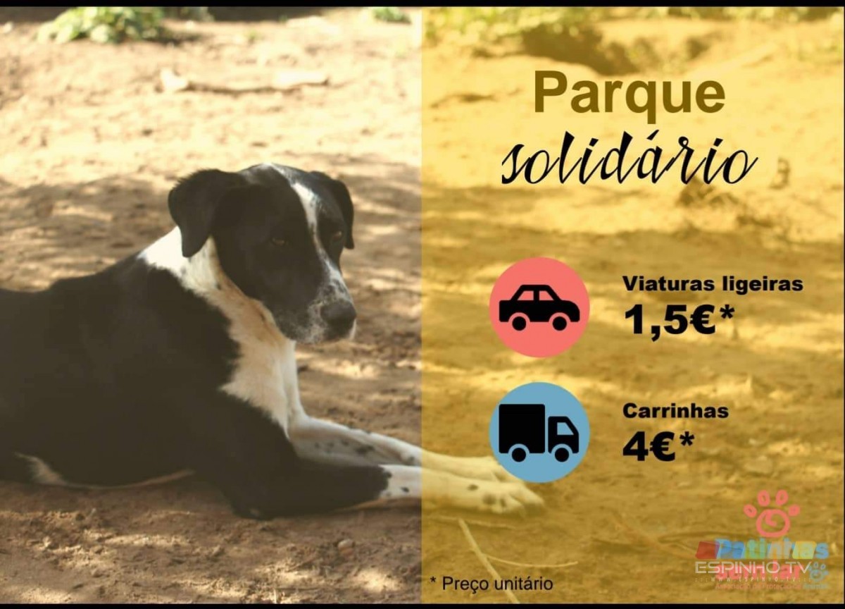 Imagem 1