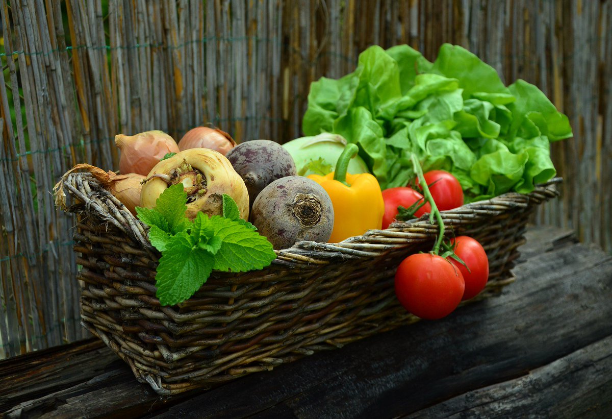 Concurso “Agricultura Familiar e Alimentação Saudável”