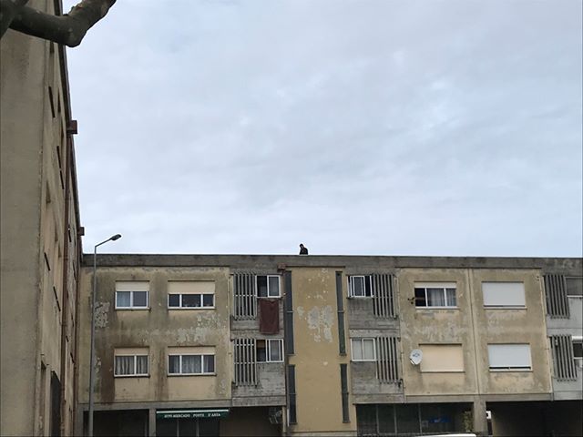 Telhados e carros danificados no Bairro da Ponte de Anta