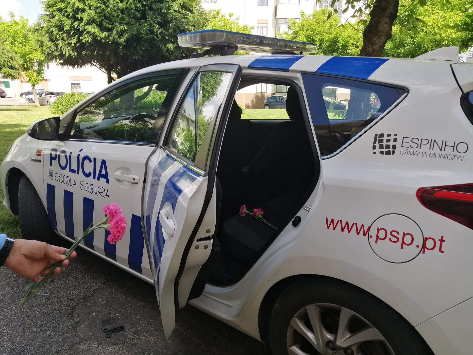 Promoção do Envelhecimento Ativo e Apoio à População Idosa