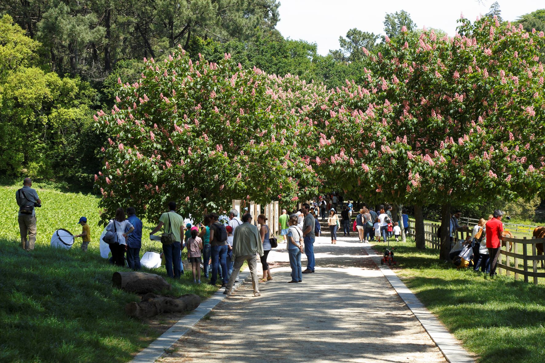 Município de Espinho leva até Serralves uma oficina