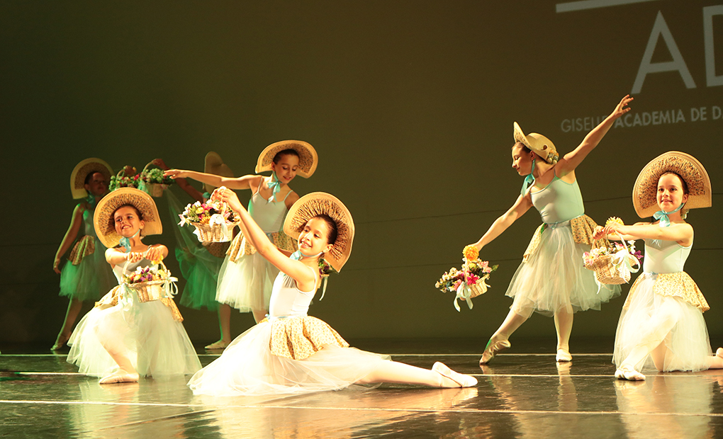 Imagem 13
