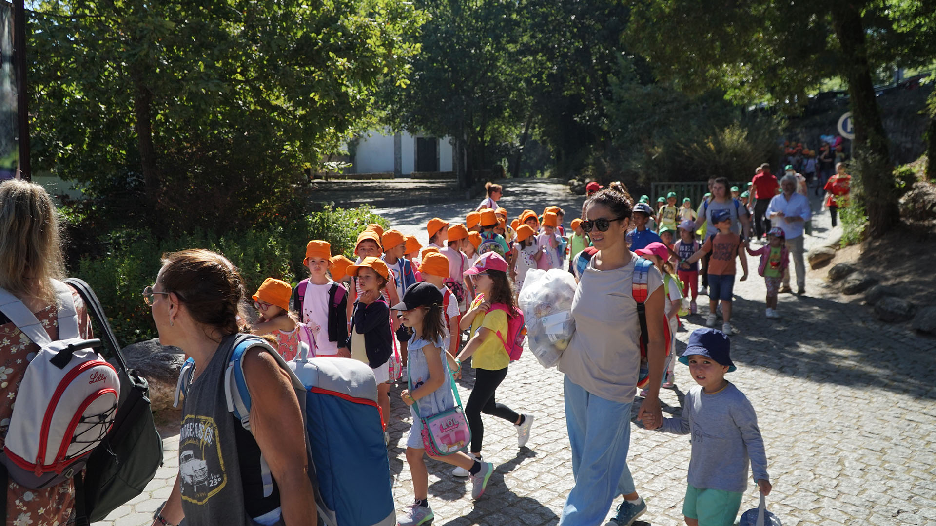 Imagem 4