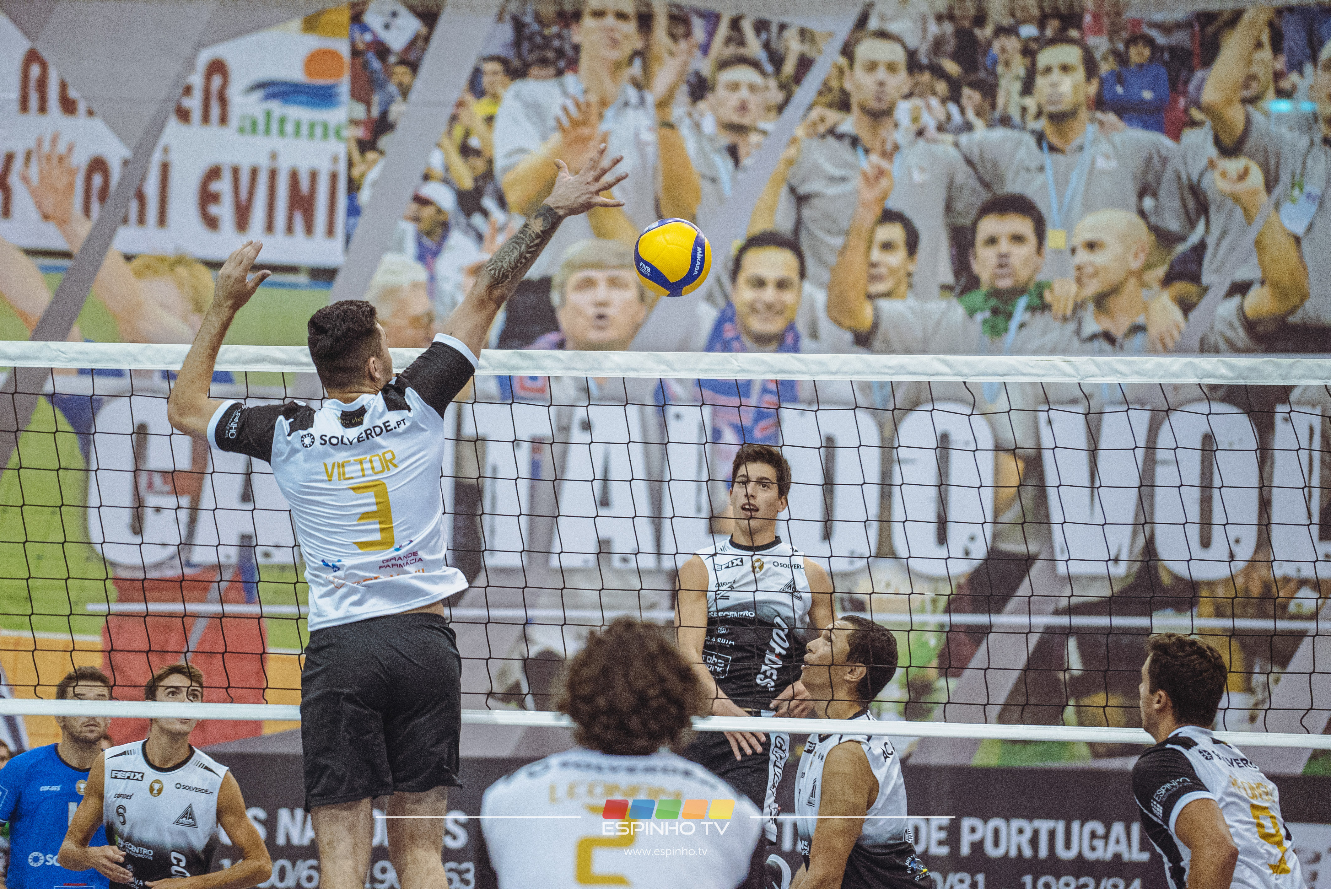 Imagem 12