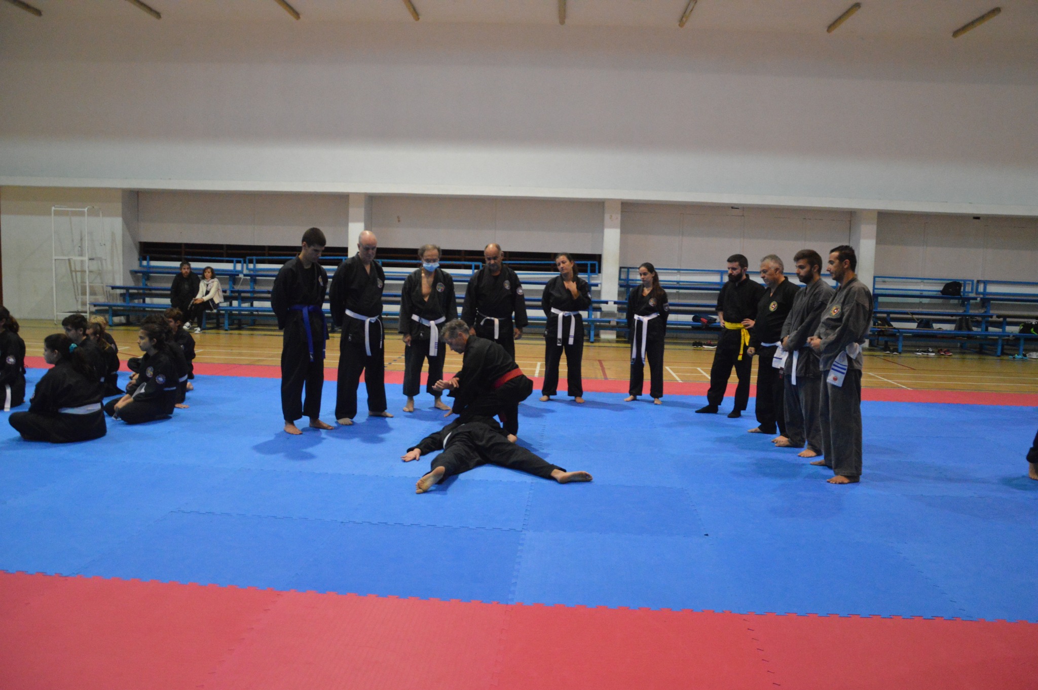 Imagem 6