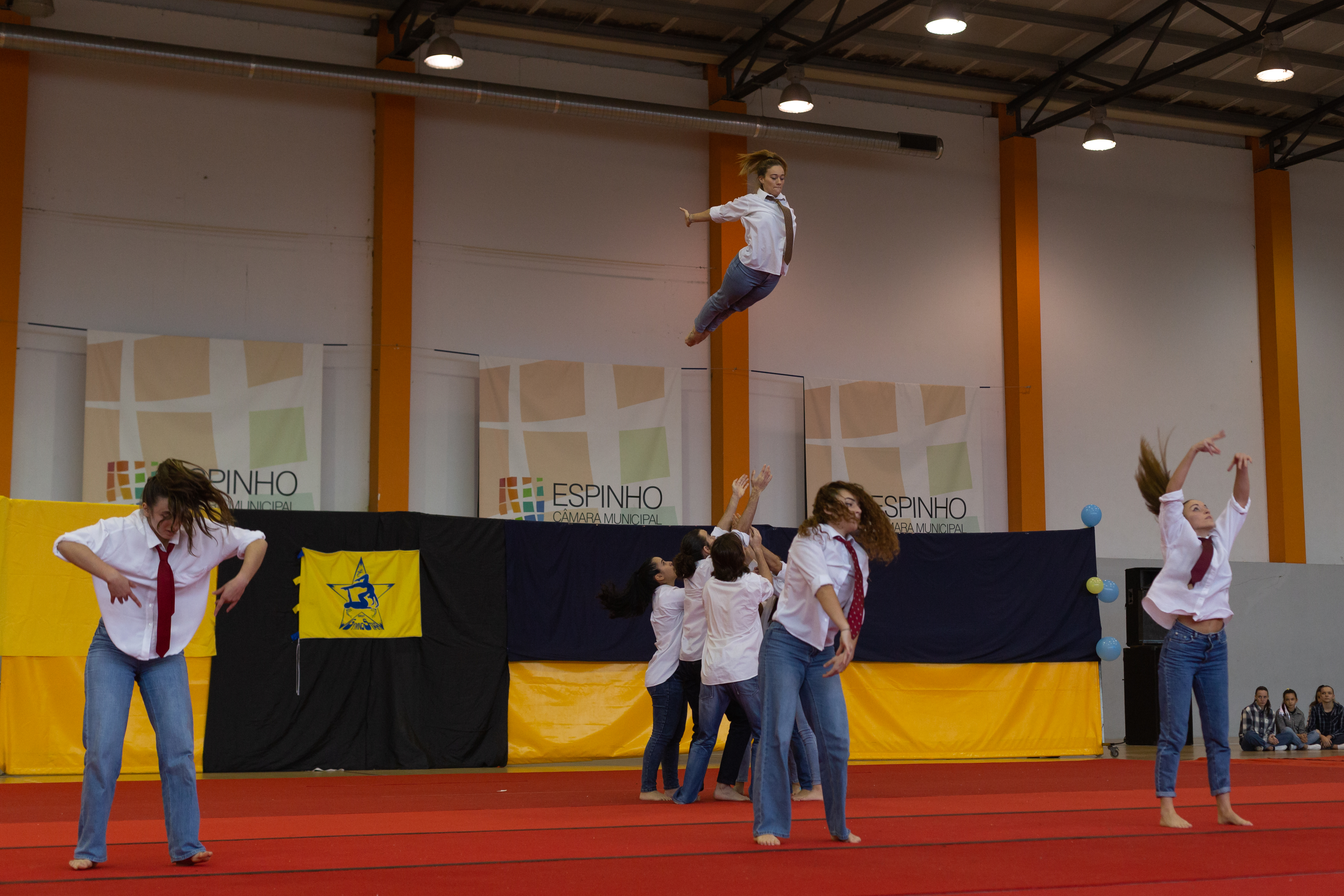 Imagem 5