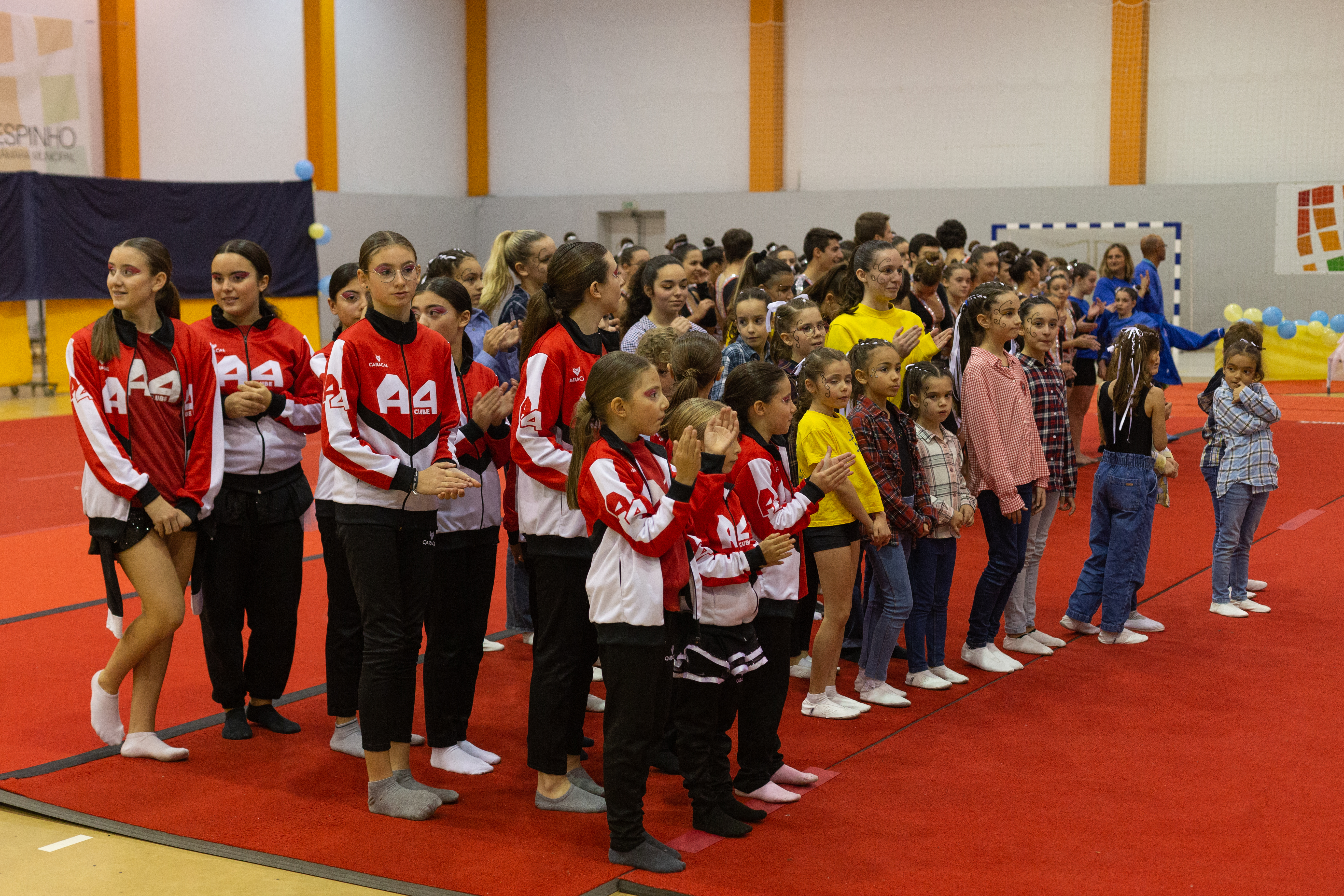 Imagem 12