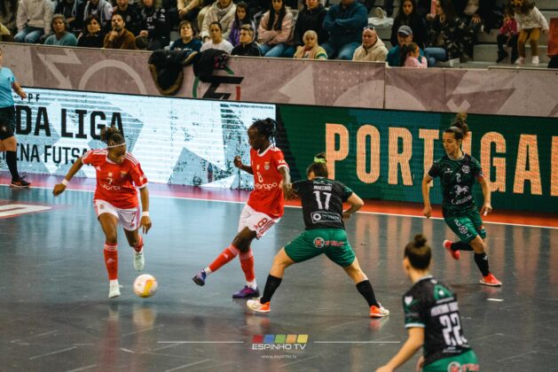 Imagem 10