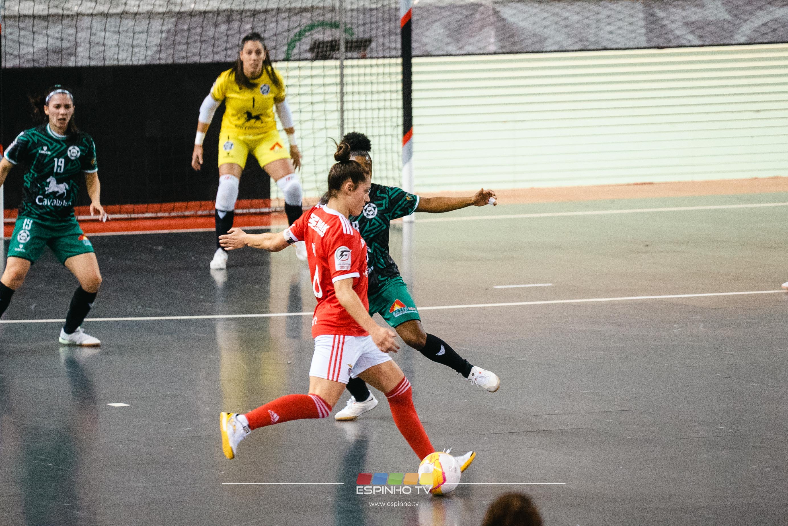 Imagem 6