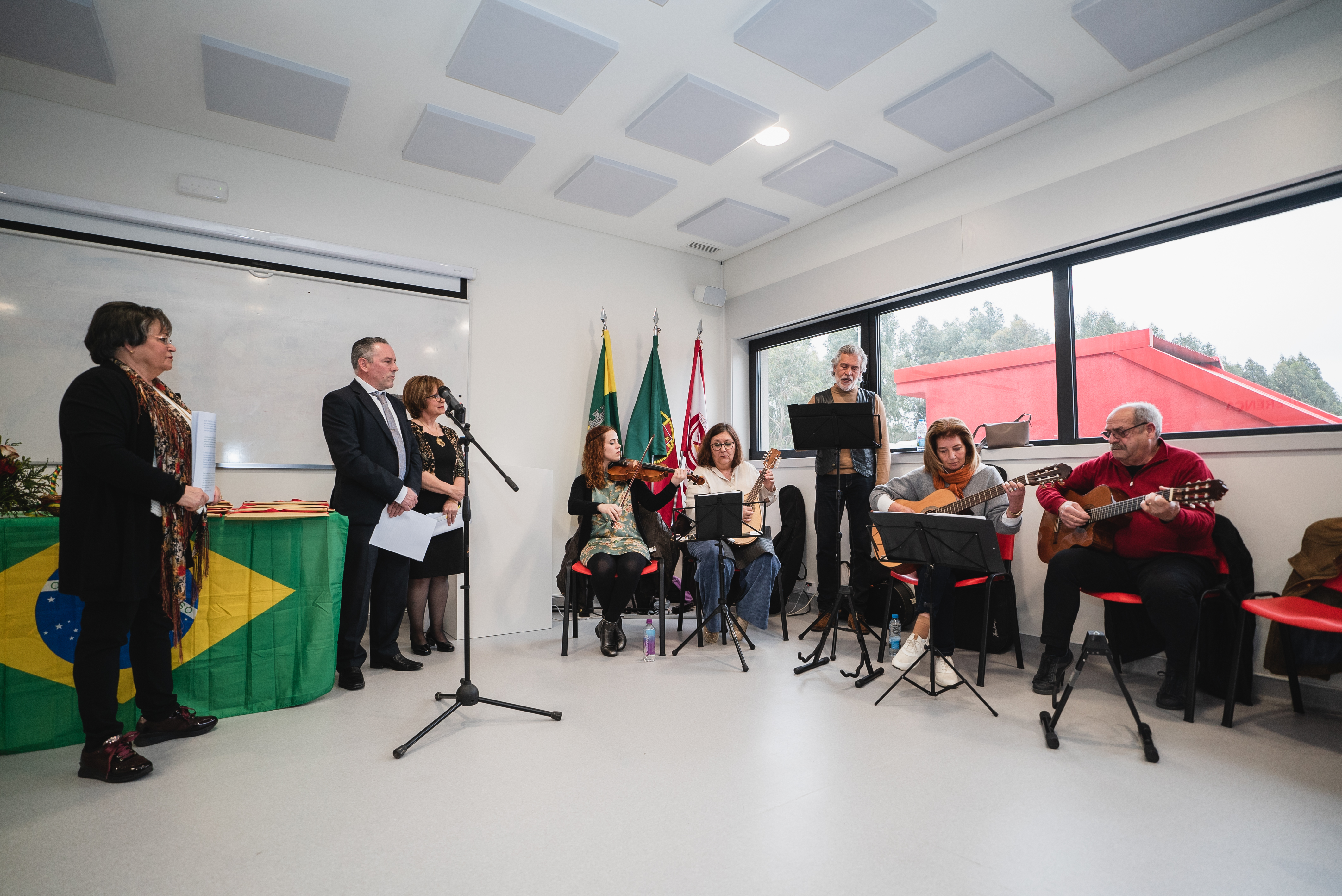 Imagem 5