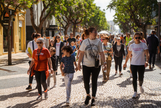 Imagem 6