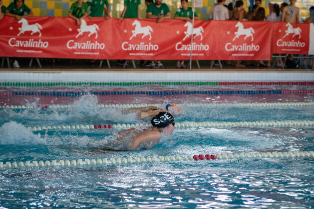 Imagem 7