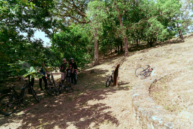 Imagem 11