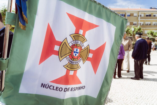 Imagem 14