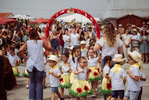 Imagem 6