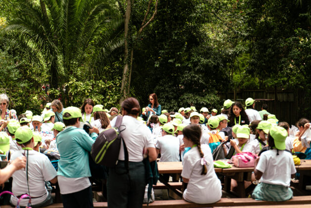 Imagem 4
