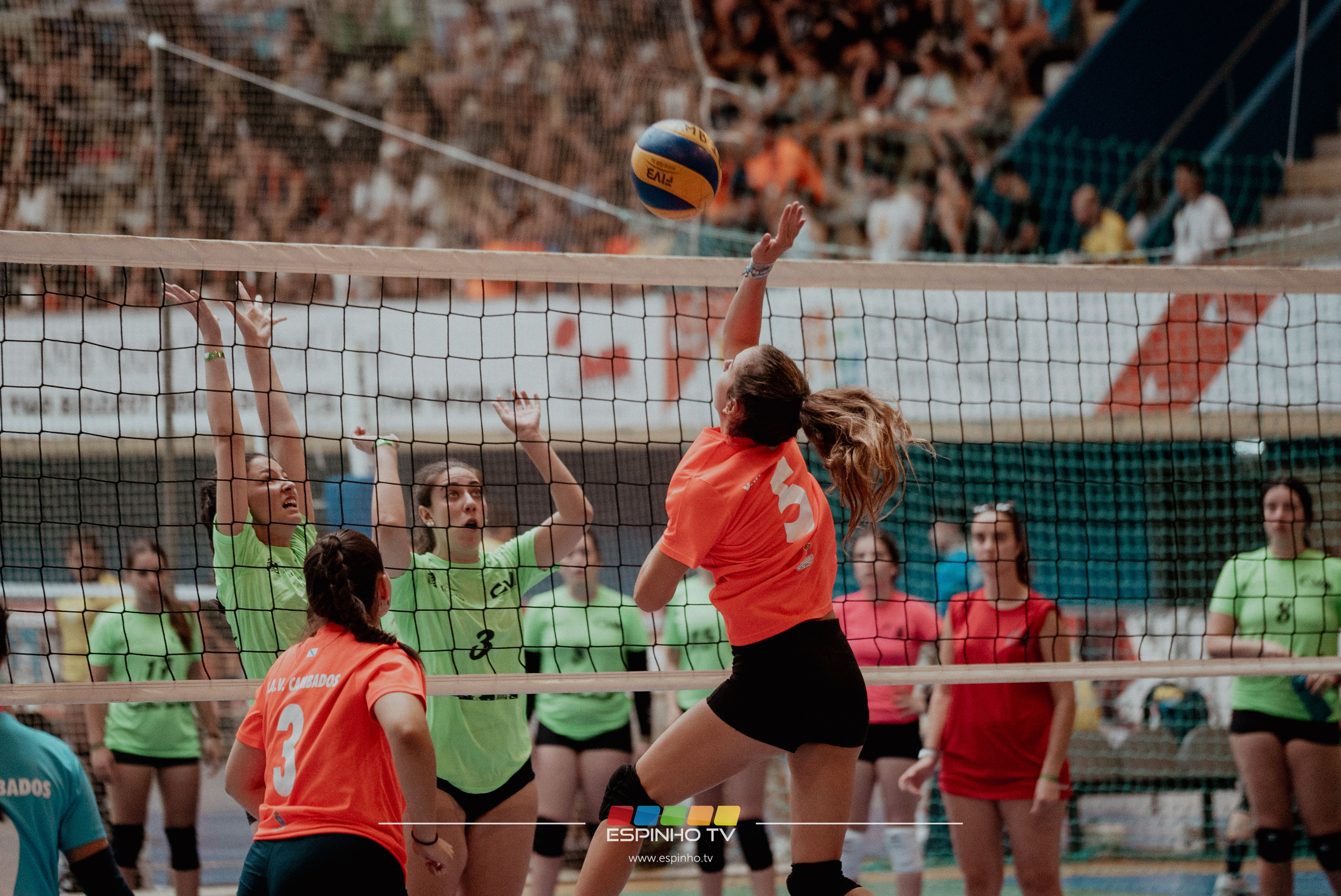 Imagem 5