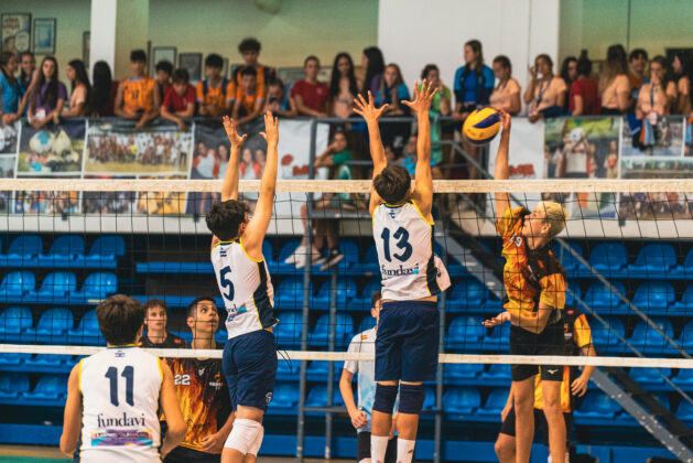 Imagem 12