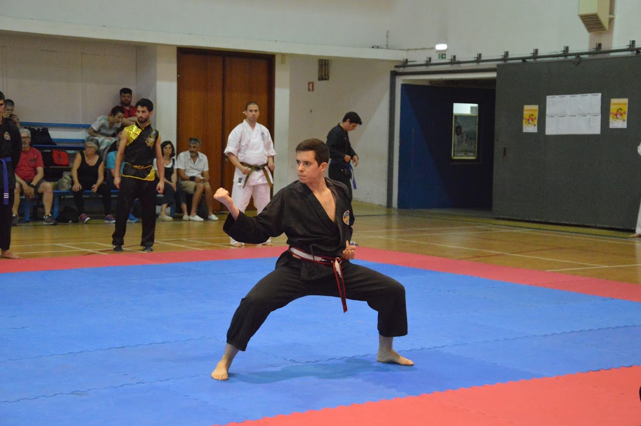 Imagem 7