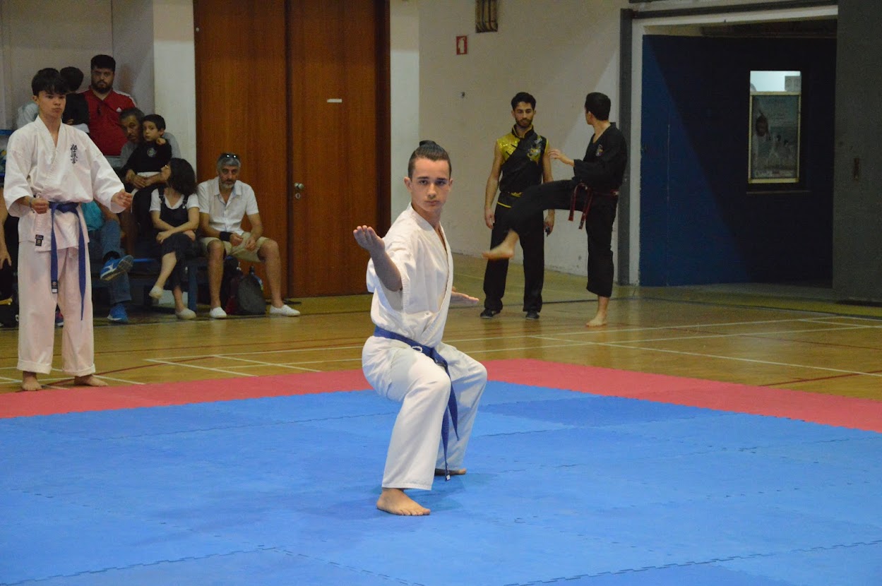 Imagem 9