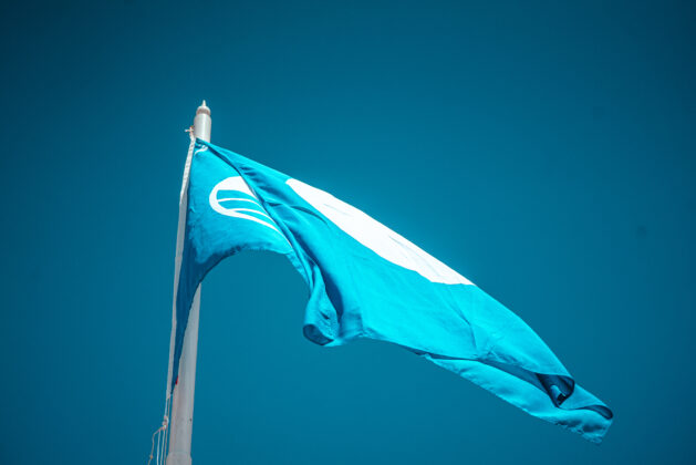 Imagem 11