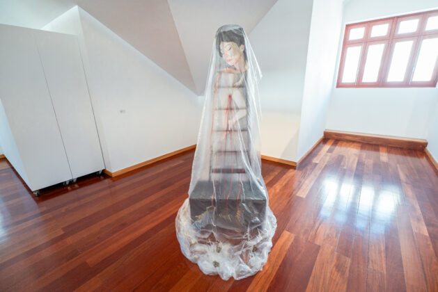 Imagem 11