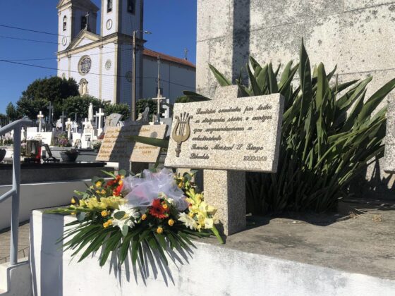 Imagem 10