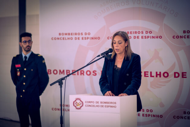 Imagem 24