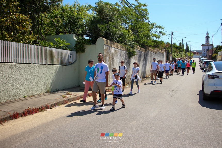 Imagem 7