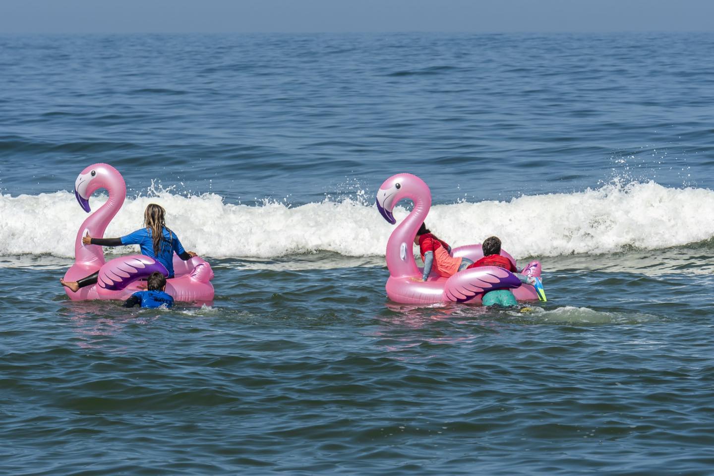 Espinho acolheu mais uma edição da Academia Ativa – Surf Para Tod@s