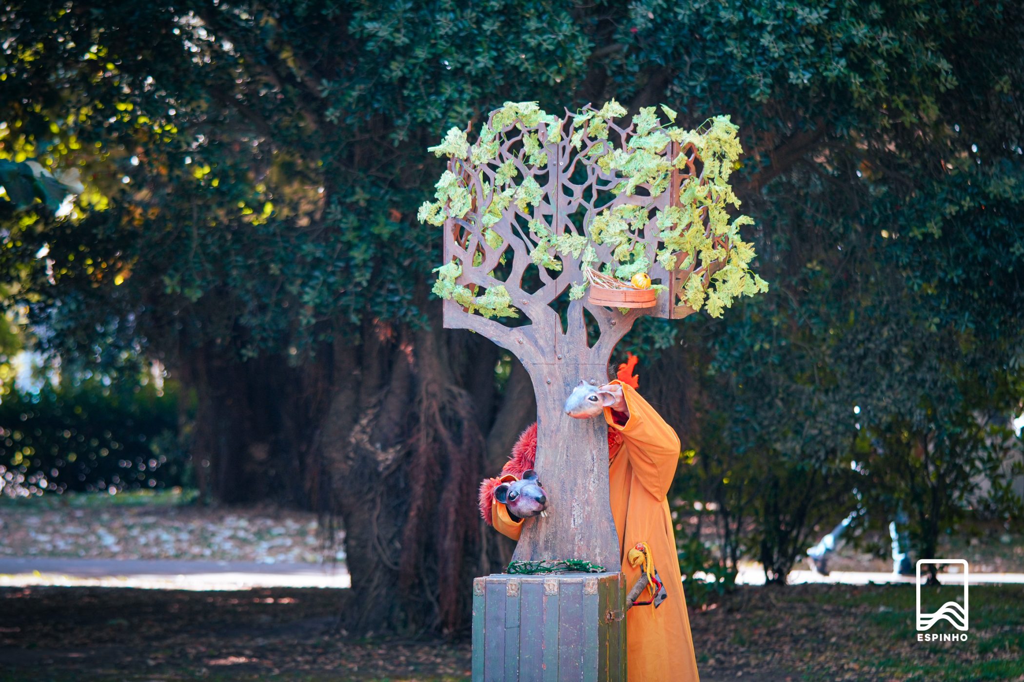 Imagem 4