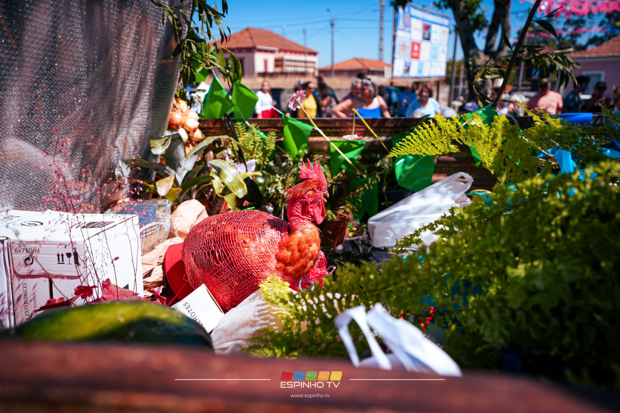 Imagem 18